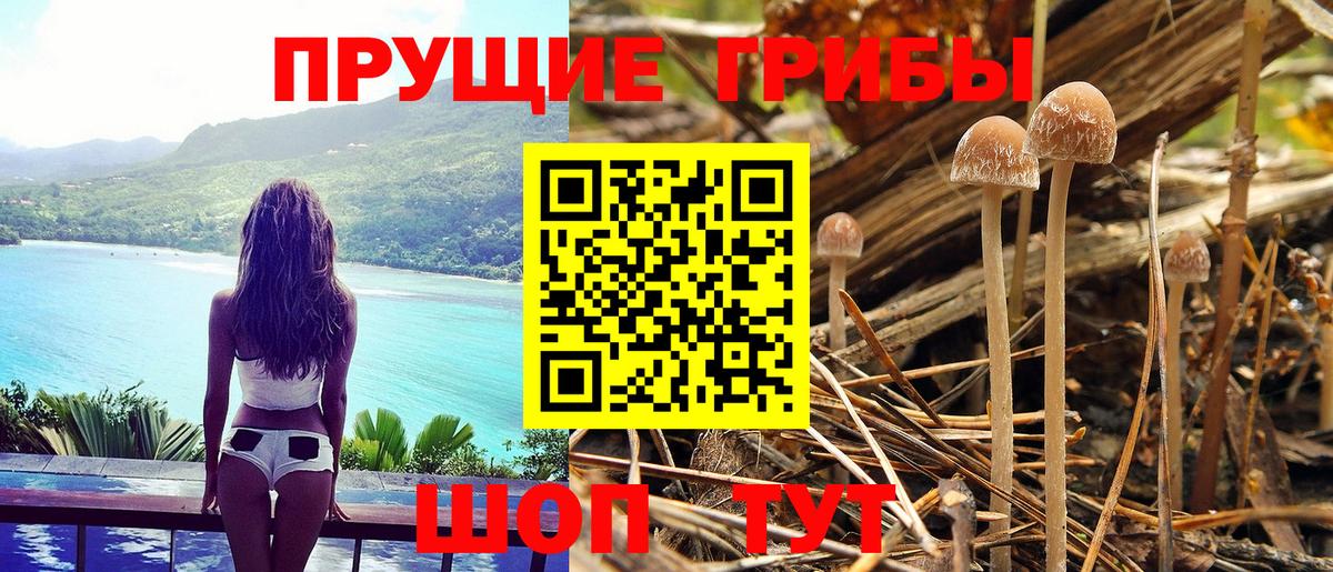 Псилоцибиновые грибы Magic Shrooms Медногорск